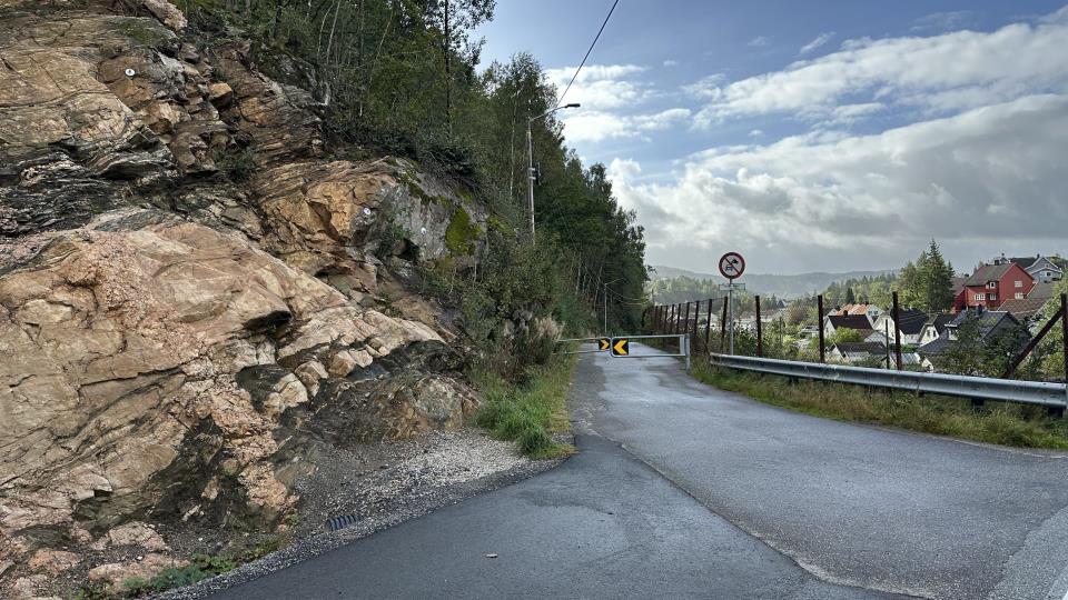 Lenke til artikkel: Kyrestien stengt ut uke 44