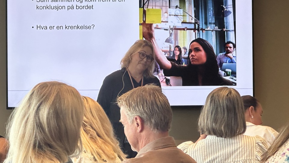 Lenke til artikkel: Et trygt og godt skole- og barnehagemiljø