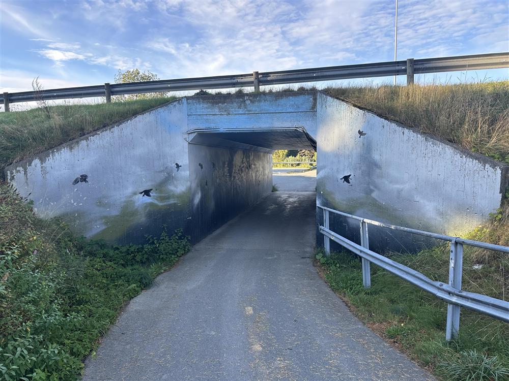  Undergangen i sentrum - Klikk for stort bilde