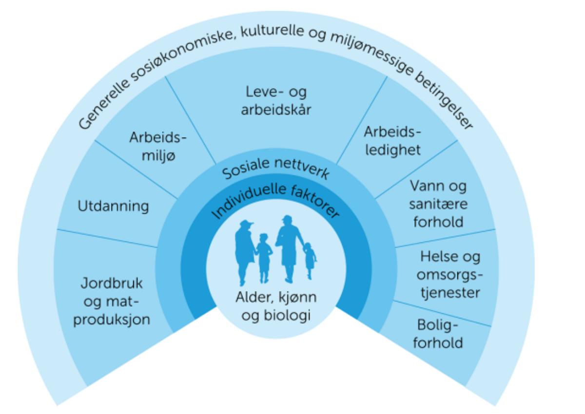 Figur som illustrerer alle påvirkningsfaktorene som påvirker folkehelsen - Klikk for stort bilde